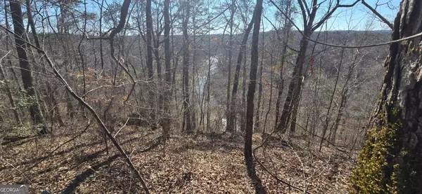Ball Ground, GA 30107,00001 Flatbottom RD