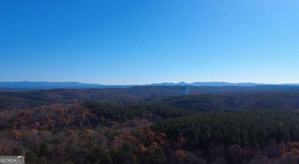 Ranger, GA 30734,1365 Hunter DR