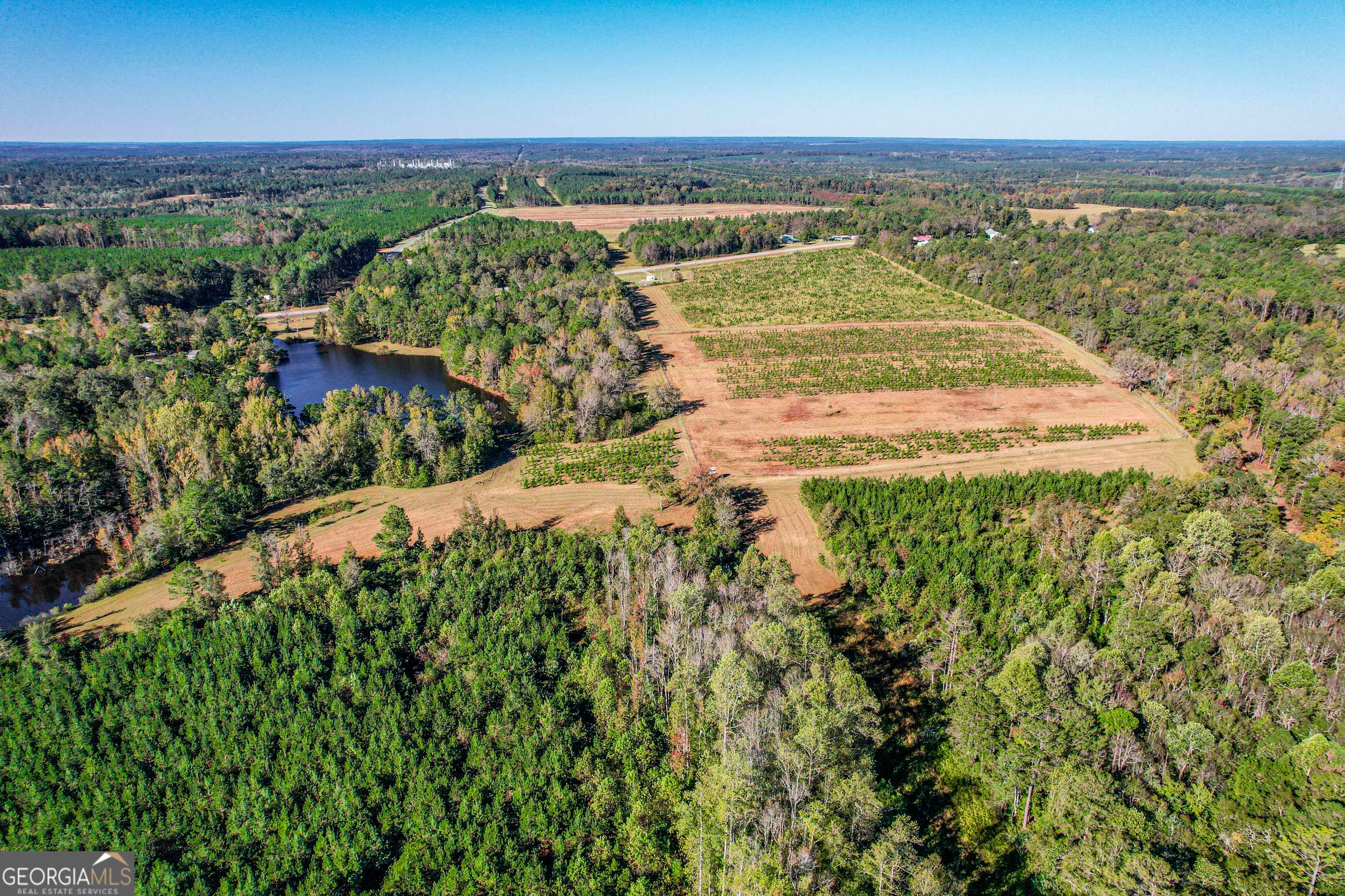 Warthen, GA 31094,10072 Ga Highway 15 N