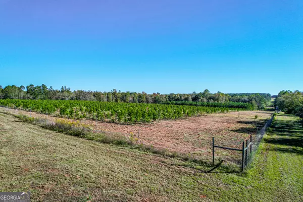 Warthen, GA 31094,10072 Ga Highway 15 N