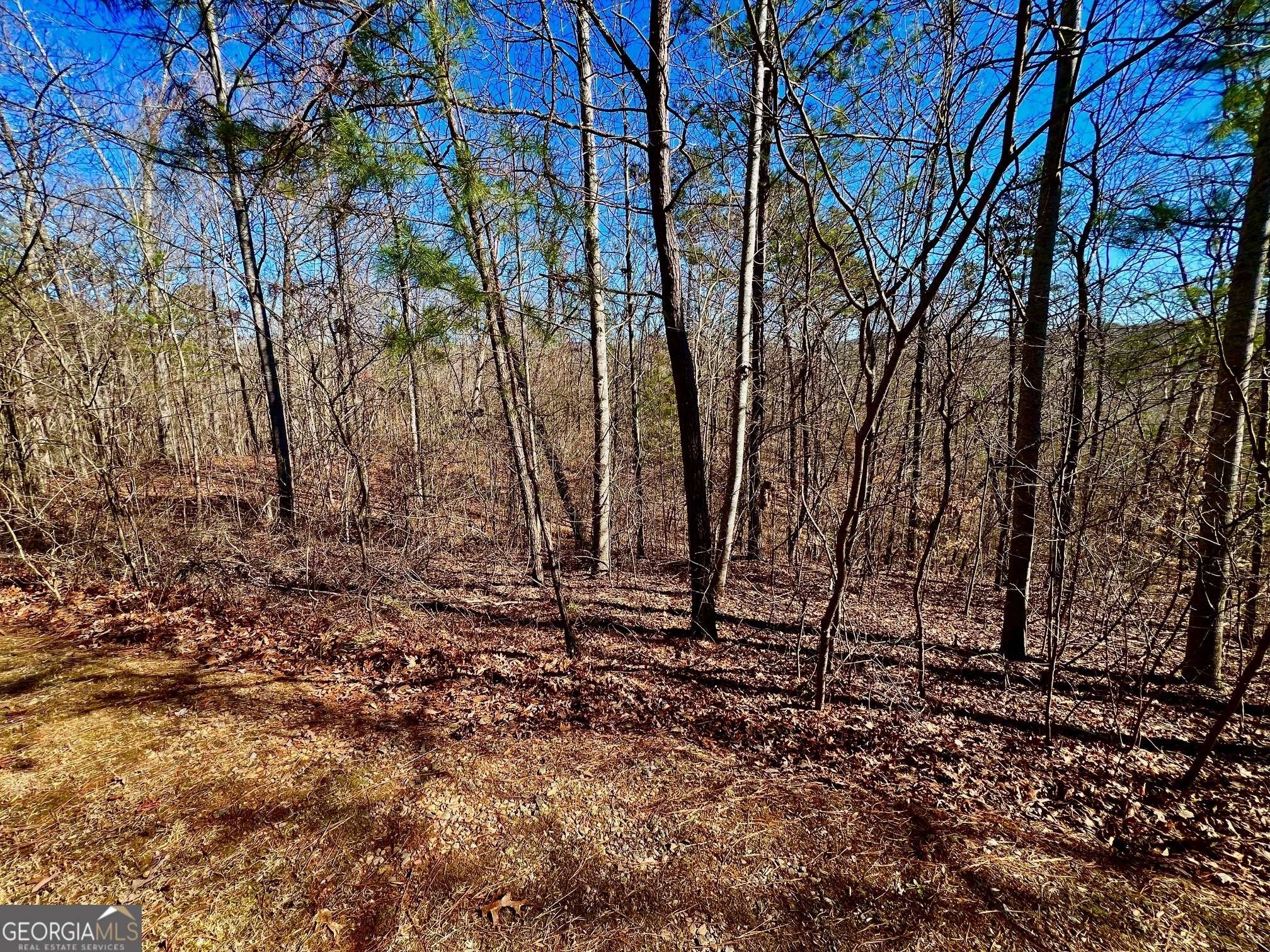 Ellijay, GA 30540,32 Harris Creek RD