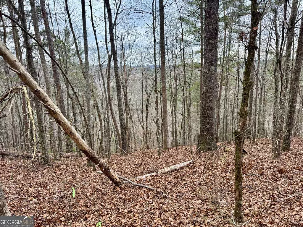 Talking Rock, GA 30175,0 LOT 1758B Rebekah RDG