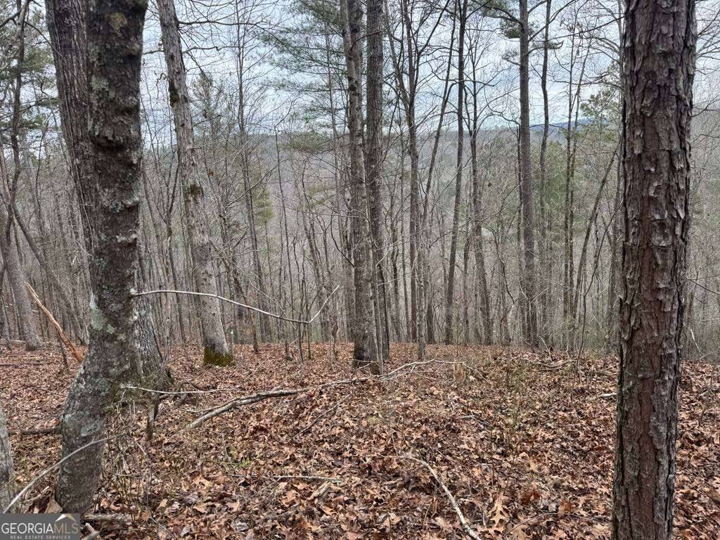 Talking Rock, GA 30175,0 LOT 1758B Rebekah RDG