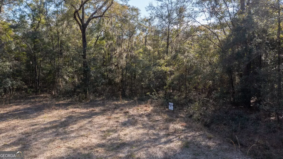 Waverly, GA 31565,V/L 5 BLK C RIV Deer CT