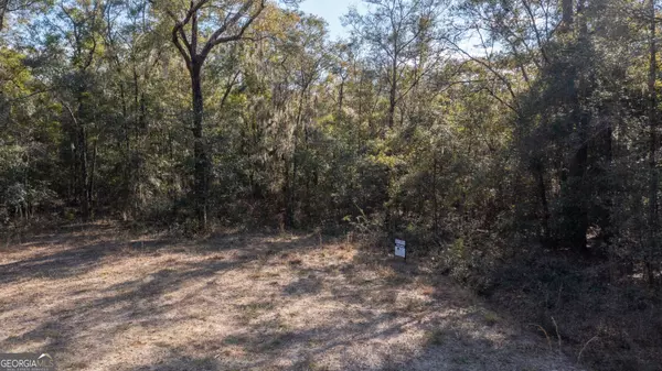 V/L 5 BLK C RIV Deer CT,  Waverly,  GA 31565