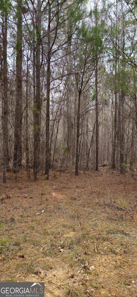 Lincolnton, GA 30817,0 HWY 220 Tract B