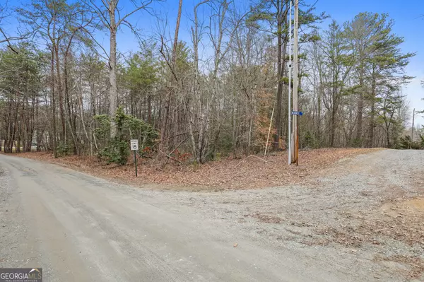 Blue Ridge, GA 30513,LOT 5 Red Bird #5