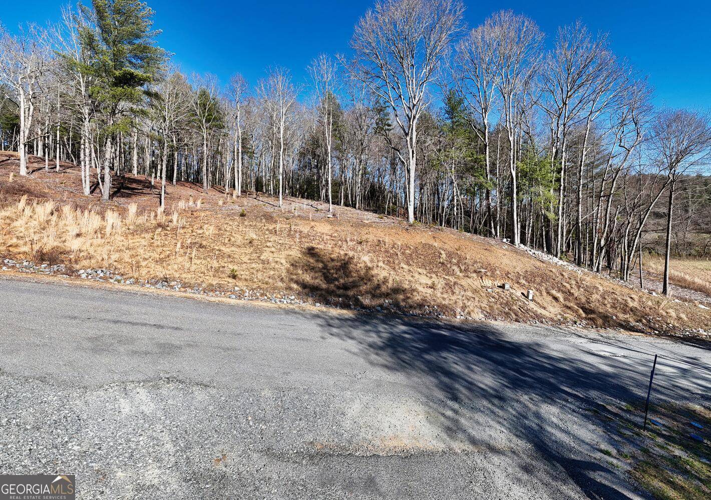 Morganton, GA 30560,LOT 2 Ridges Drive
