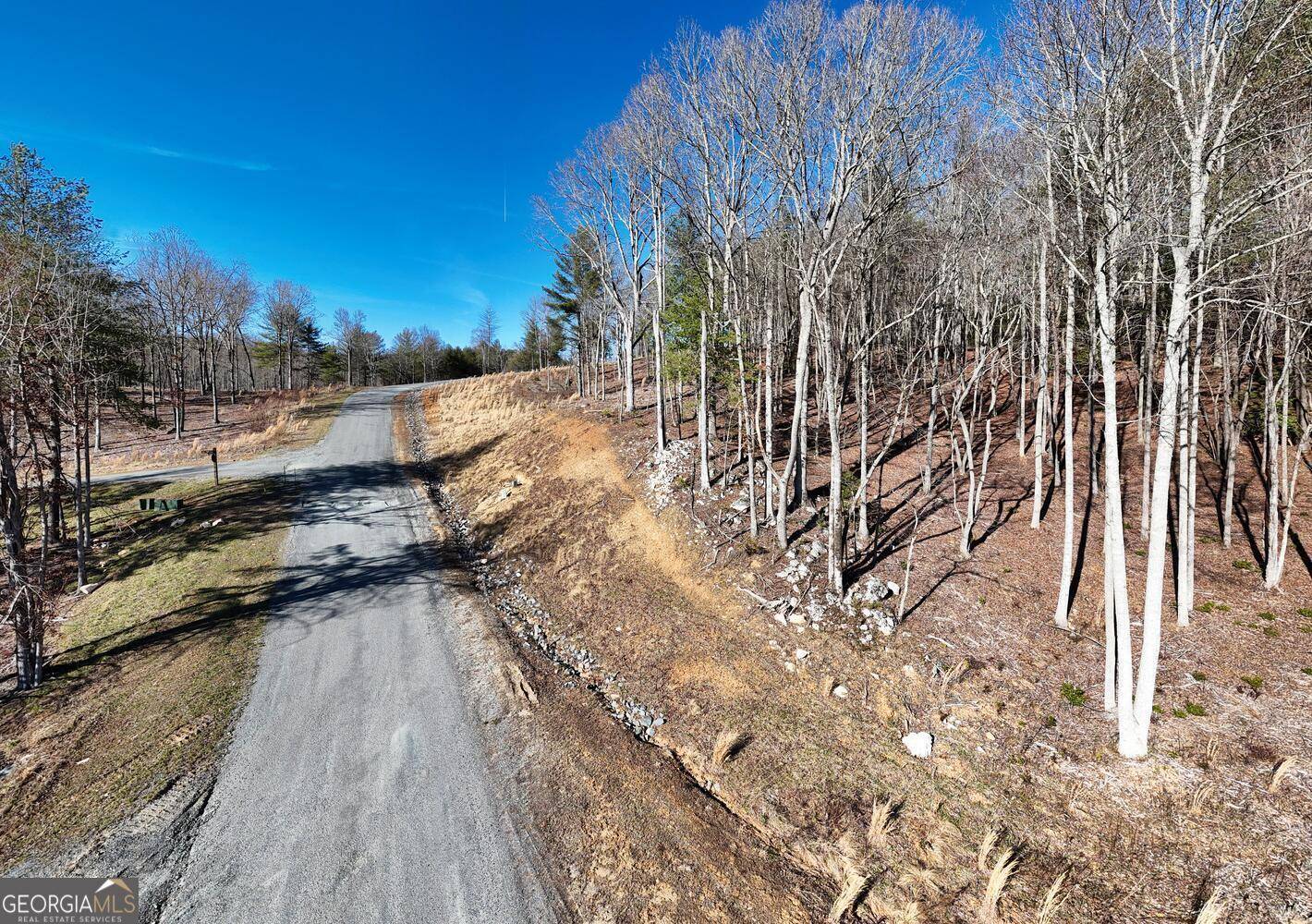Morganton, GA 30560,LOT 2 Ridges Drive