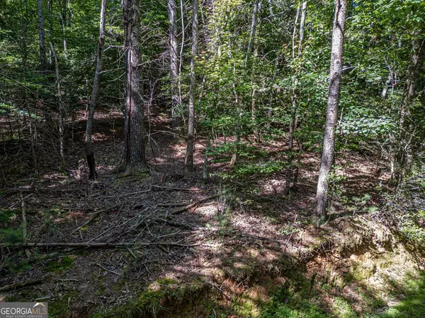 Blairsville, GA 30512,LOT 9 Galloway BLVD #9