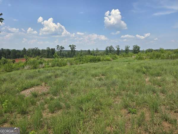 0 Faulkner RD #LOT 8, Monticello, GA 31064