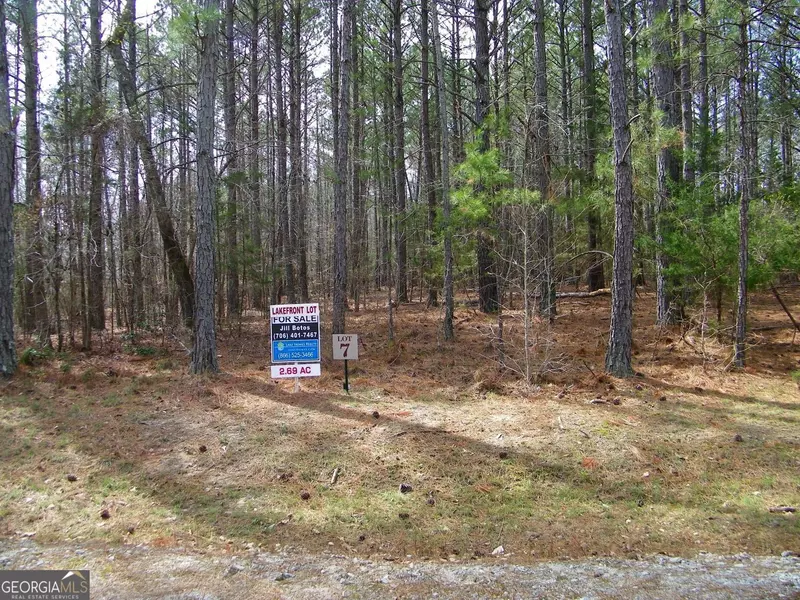 LOT 7 Blackberry Bend, Elberton, GA 30635