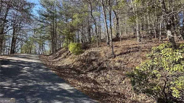 Lakemont, GA 30552,0 Rabun Bluffs DR