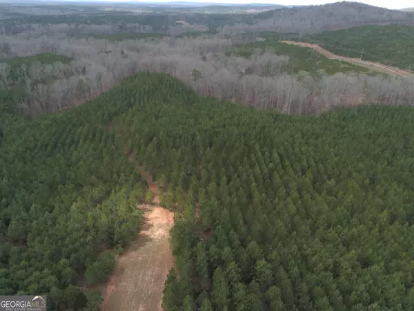 Hamilton, GA 31811,332.9 AC Johnson Mill RD