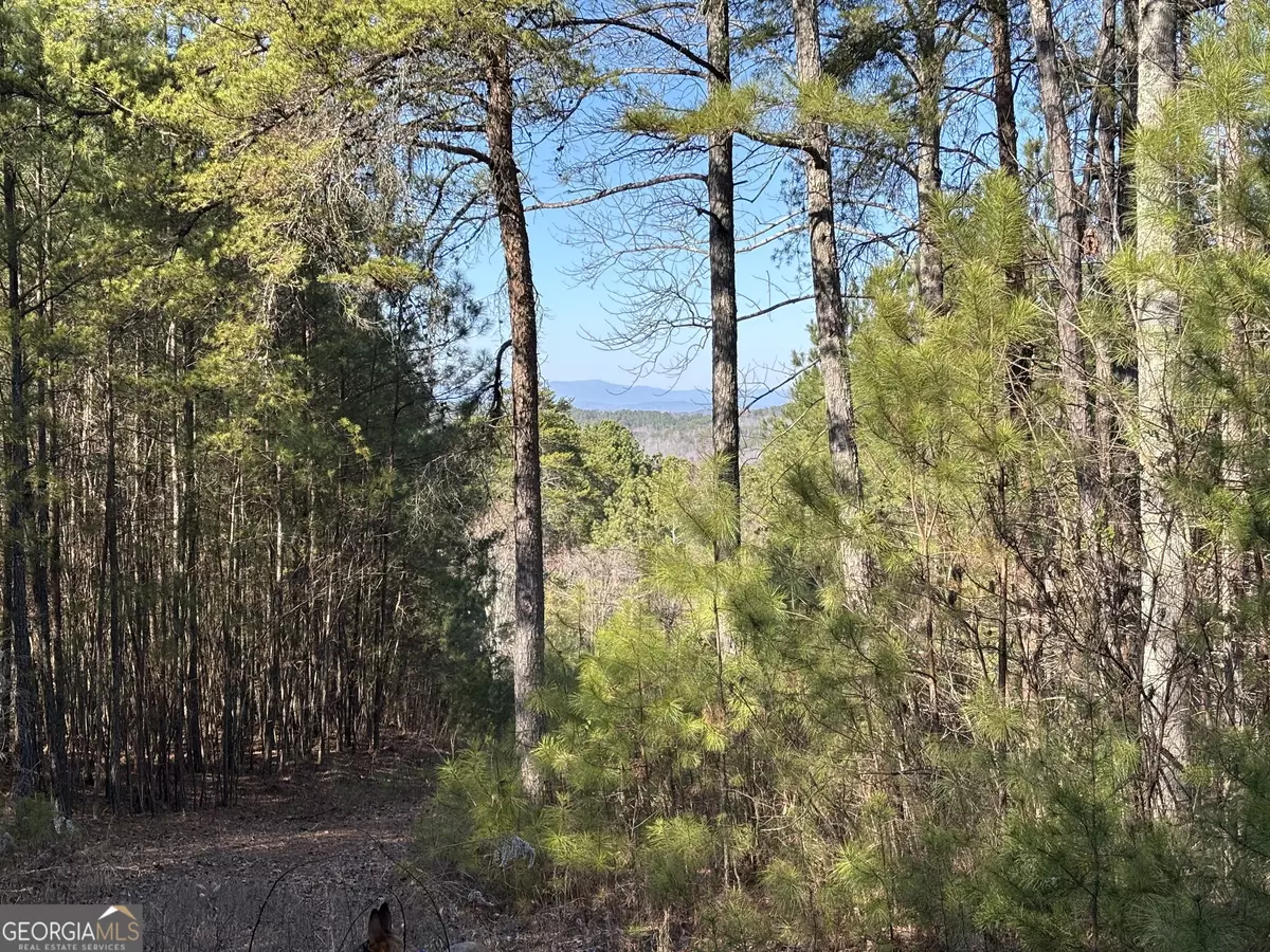 Ranger, GA 30734,3 WEST Dry Pond RD