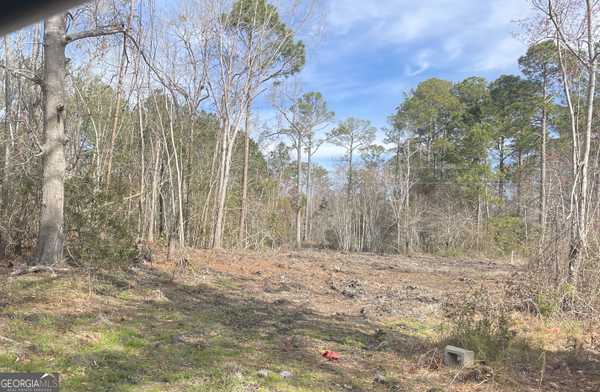 0 Highway 46, Statesboro, GA 30458