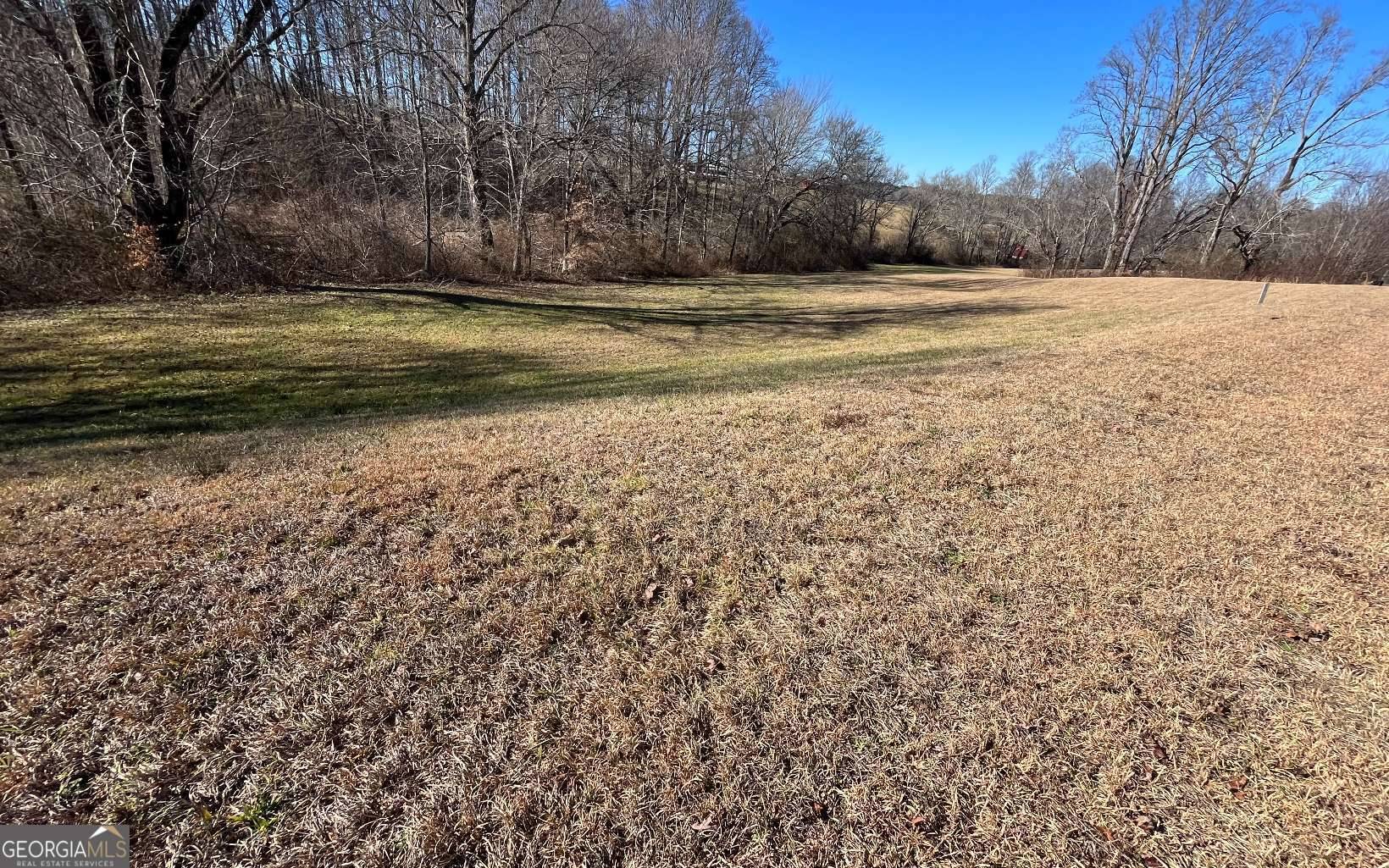 LOT 117 Owen Glen DR, Blairsville, GA 30512