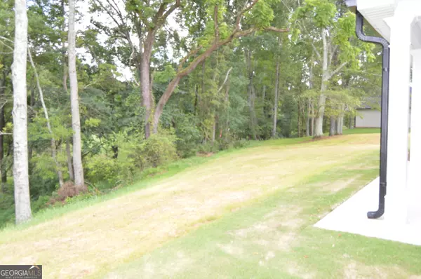 Winder, GA 30680,182 Nativity CV #30