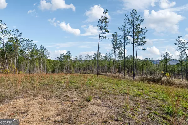 Gaylesville, AL 35973,0 Cherokee County 62