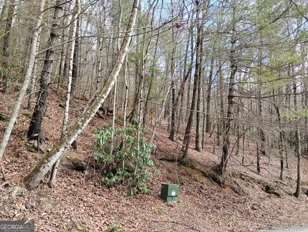 Sky Valley, GA 30537,0 LOT #289 Cobblewood TRL
