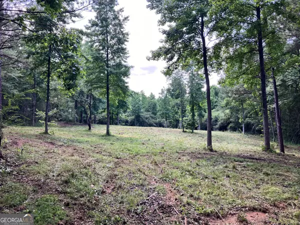 Grantville, GA 30220,0 Bohannon Road