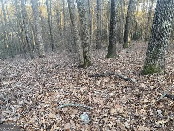 Acworth, GA 30102,0 Jacobs Road SE #1