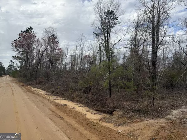 Swainsboro, GA 30401,0 Halls Bridge RD