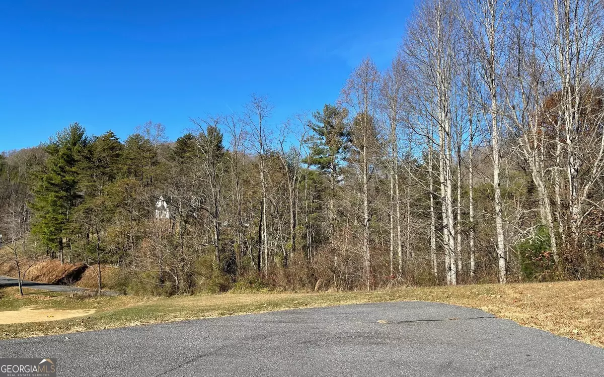 Hayesville, NC 28904,LOT 133A Mountain Harbour