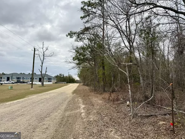 Millen, GA 30442,0 Highway 25 N
