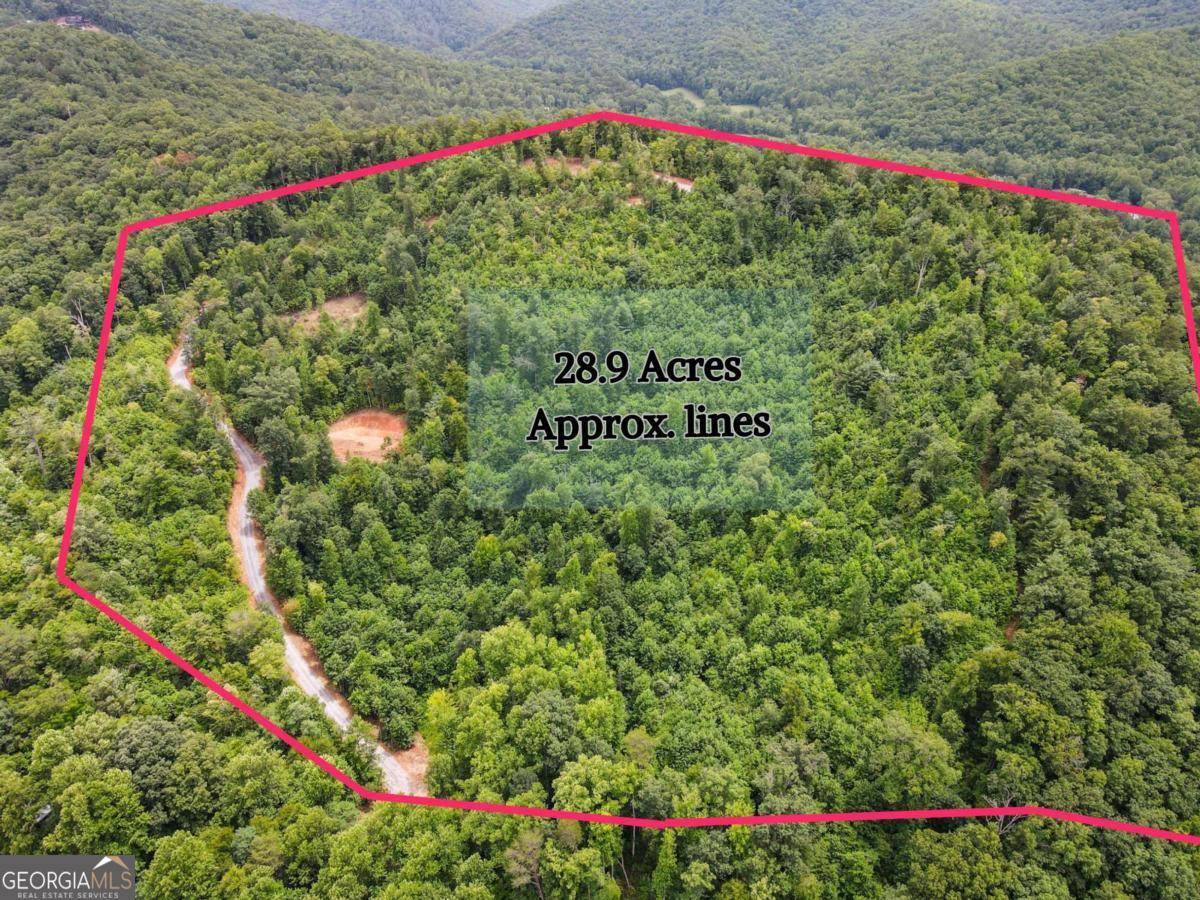 28.90 Acres Tom Wheeler RD, Hiawassee, GA 30546