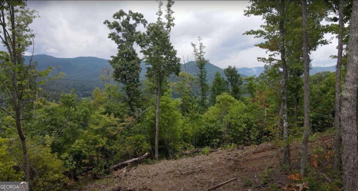 Hiawassee, GA 30546,28.90 Acres Tom Wheeler RD