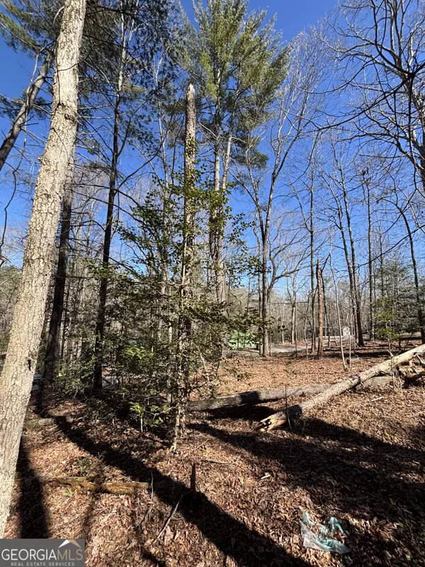 Cleveland, GA 30528,0 Waterfall DR #9