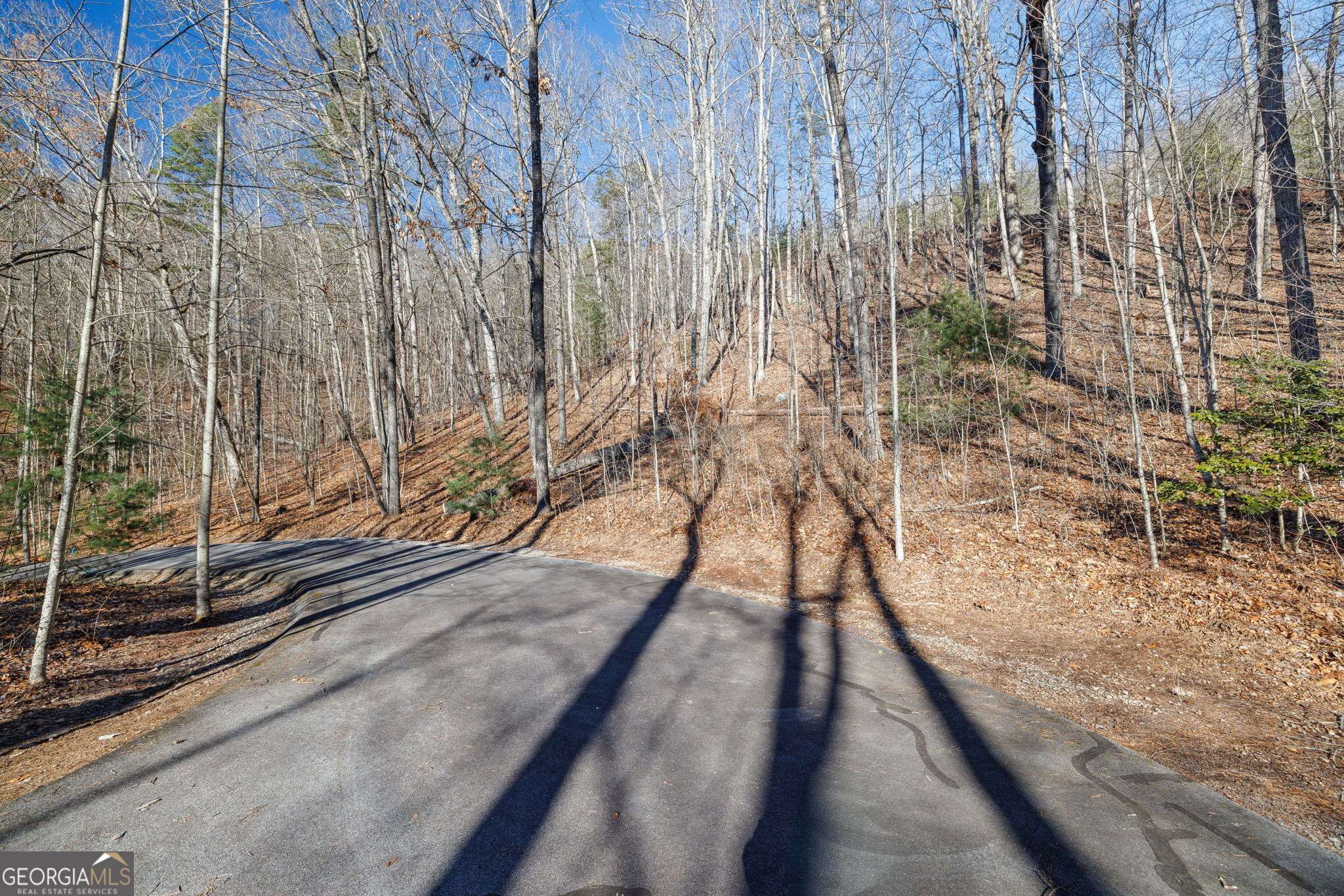 Clayton, GA 30525,0 Forest Canopy Way #11
