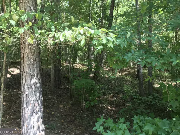 Sparta, GA 31087,0 LOT 203 Jamesway DR