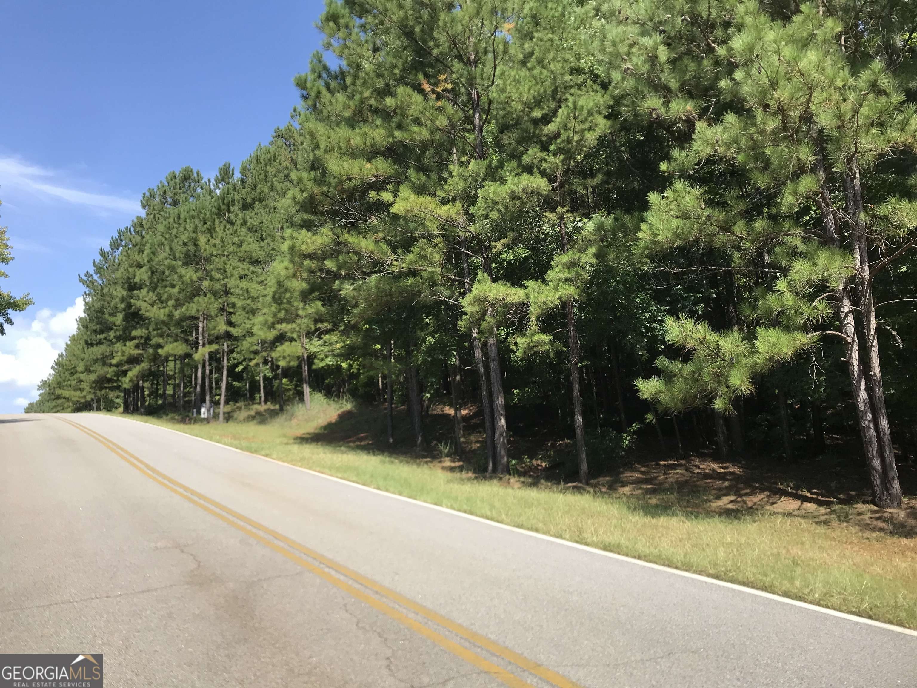 Sparta, GA 31087,0 LOT 203 Jamesway DR