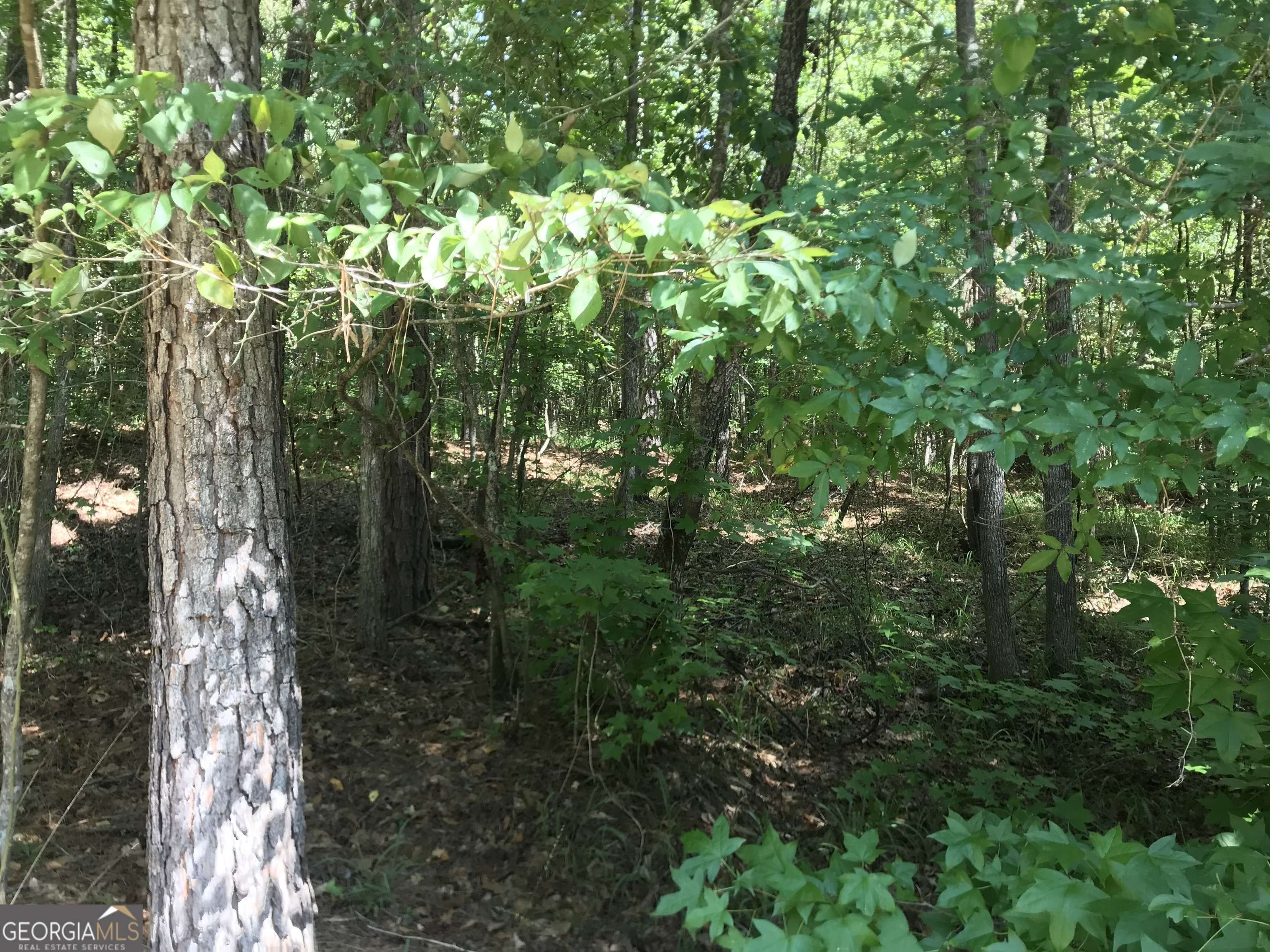 Sparta, GA 31087,0 LOT 204 Jamesway DR