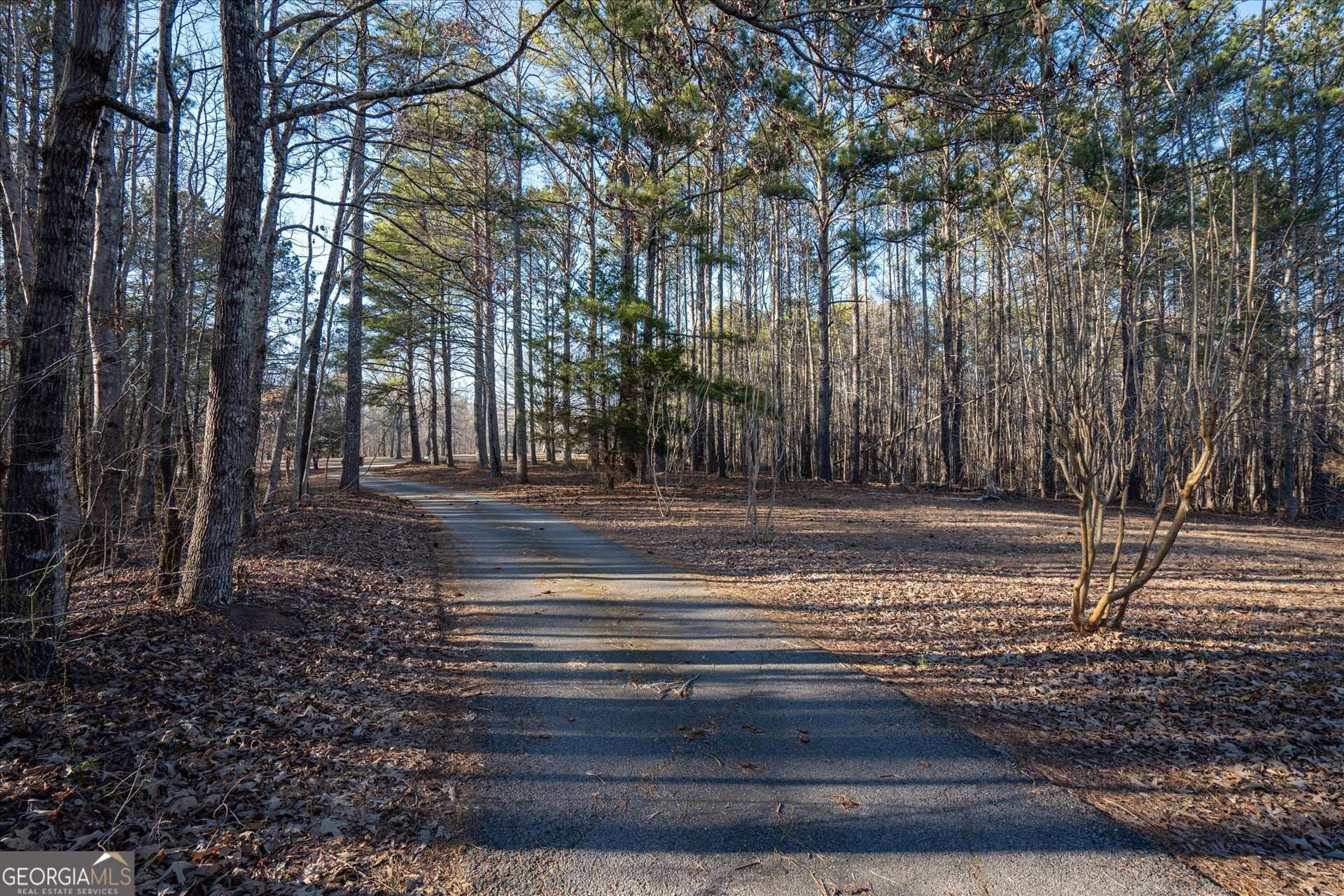 Winston, GA 30187,9209 W Banks Mill RD