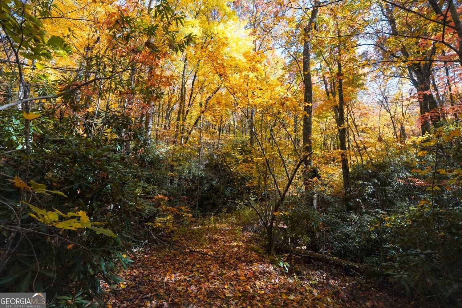 Dillard, GA 30537,0 Bald Mountain #55,57