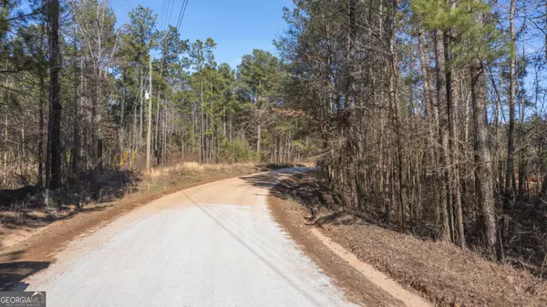 Hogansville, GA 30230,293 Ellis RD