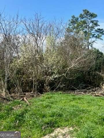Unadilla, GA 31091,367 Pine ST