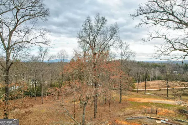 Blue Ridge, GA 30513,146 Bent Wood LN