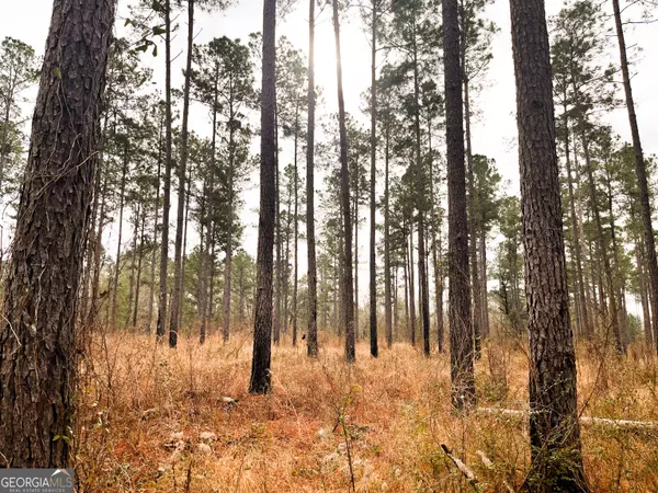 Bainbridge, GA 39817,0 Newton RD