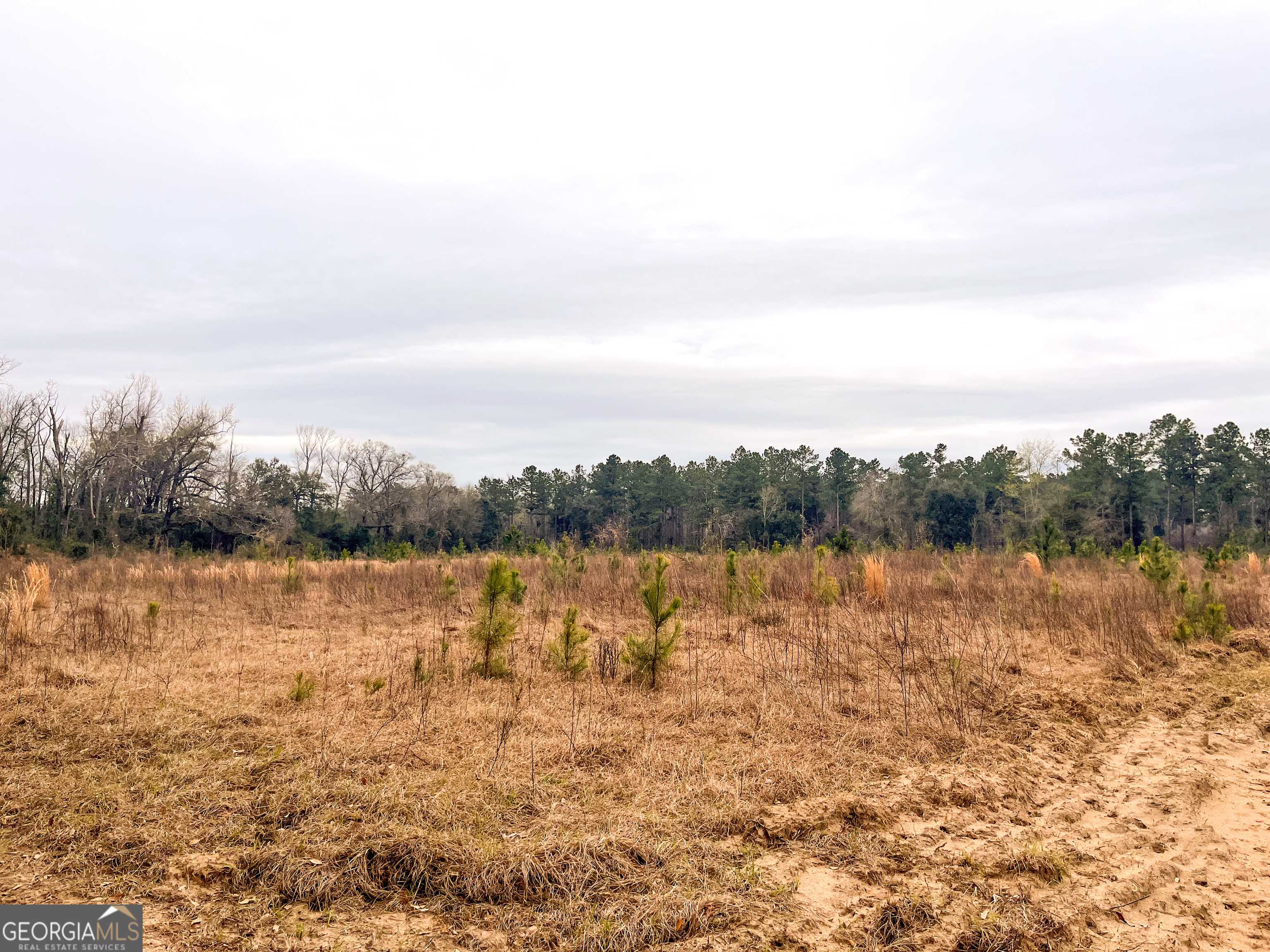 Bainbridge, GA 39817,0 Newton RD