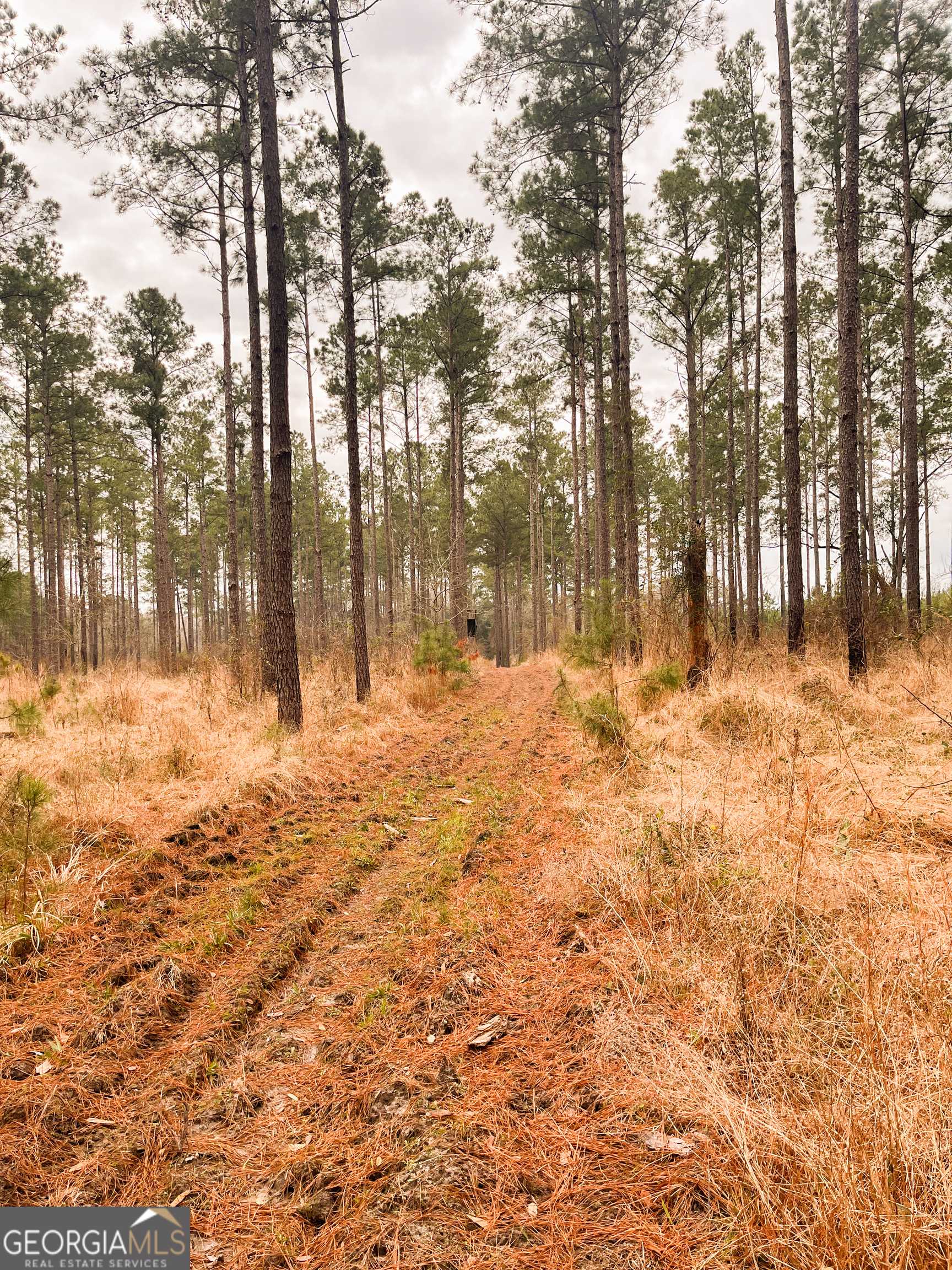 Bainbridge, GA 39817,0 Newton RD