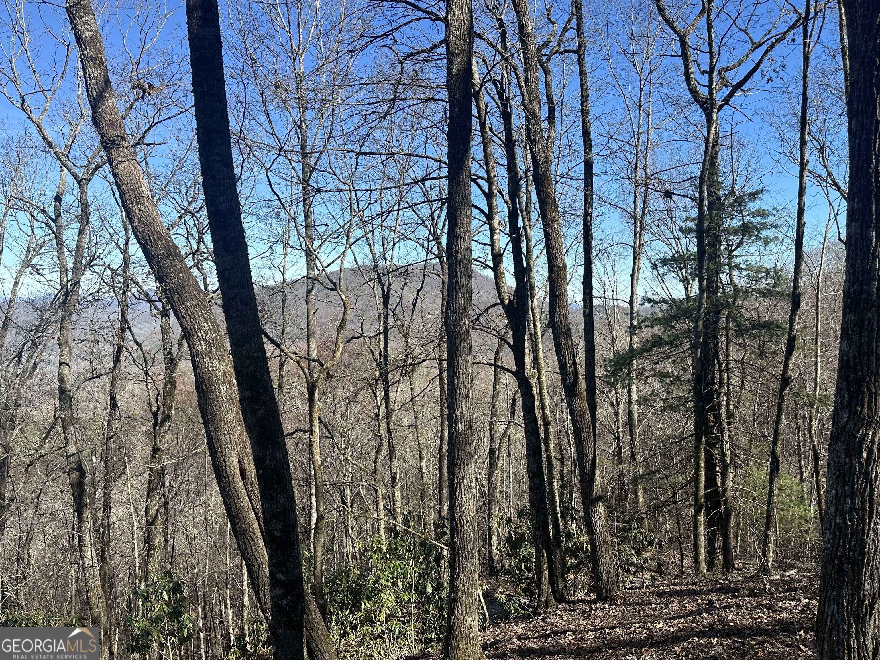 Tiger, GA 30576,0 Baker #LOT 10
