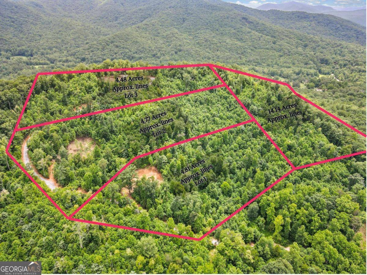 Hiawassee, GA 30546,14.14 Acres Tom Wheeler RD