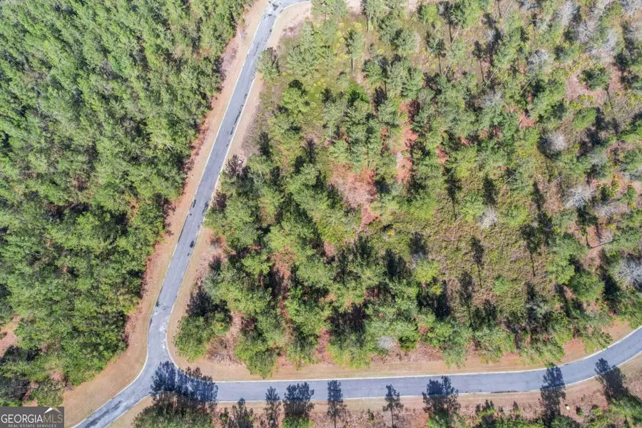 105 AND 106 Big Horse DR, Waynesville, GA 31566