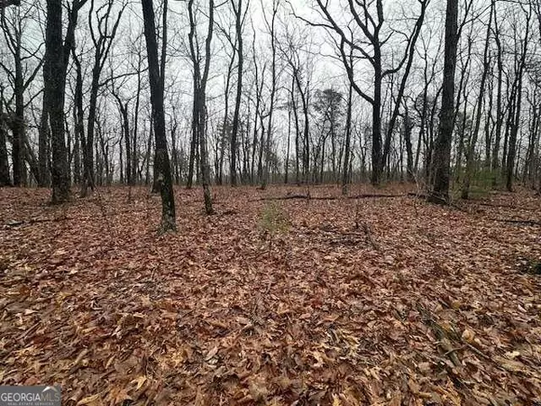 0 Northland TRL, Ellijay, GA 30536