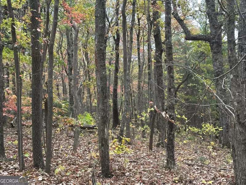 0 Northland TRL, Ellijay, GA 30536