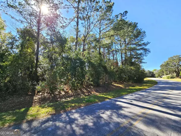 Kingsland, GA 31548,0 Bristol Hammock CIR